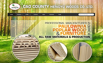 木业建材|广州外贸网站建设
